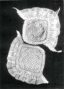 Friesche muts (Replica) Haakpatroon kopomvang 27(21)cm